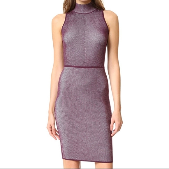 Bailey 44 Dresses & Skirts - Bailey44 Confident Ribbed Mock Neck Dress